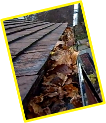 Gutters Full Of Leaves? Call ACE Gutter Cleaning Solutions. We Serve Redditch, Studley, Bromsgrove And Alvechurch