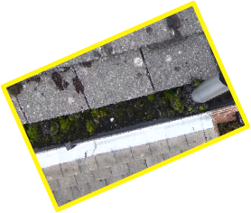 Gutters Full Of Moss? Call ACE Gutter Cleaning Solutions. We Serve Redditch, Studley, Bromsgrove And Alvechurch