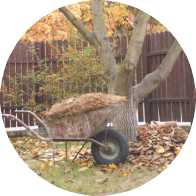 DM Cutting Hedge Garden/Grounds Clearance Service Covering Redditch