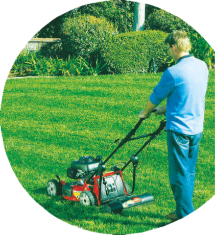 DM Cutting Hedge Lawn Mowing/Grass Cutting Service Covering Redditch